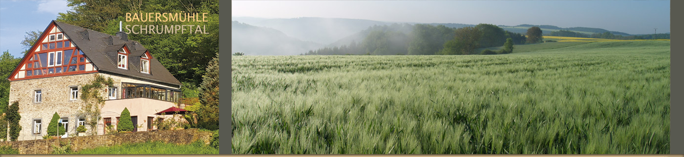 Frühdunst über den Maifeldern
